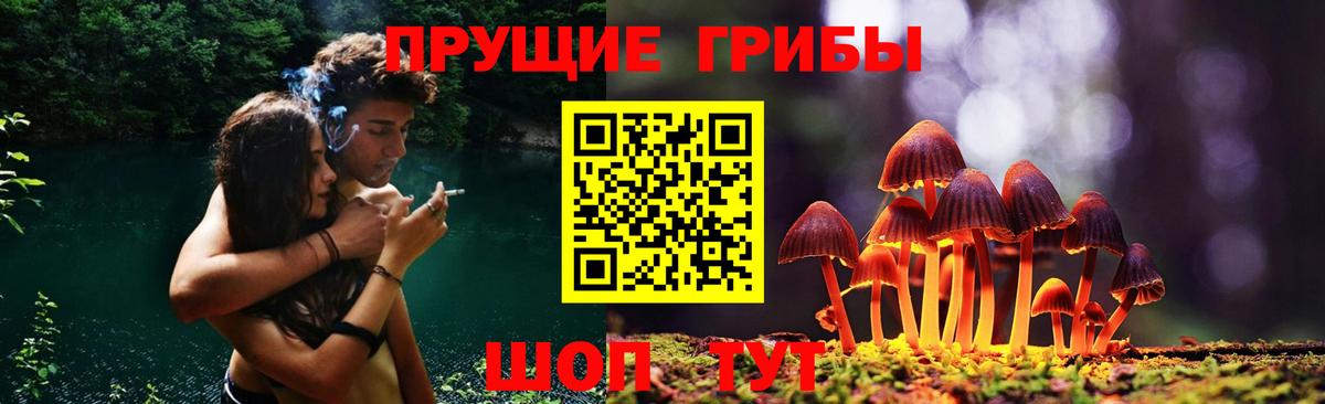 Галлюциногенные грибы прущие грибы Усинск